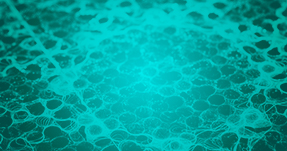 Technical White Papers Thumb 9