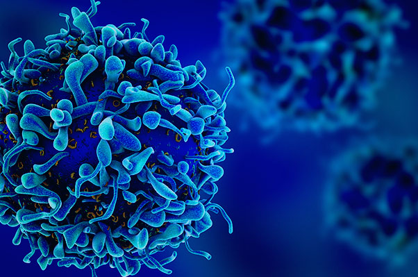 Life Sciences Casestory